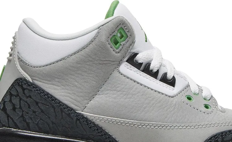 Air Jordan 3 Retro GS Chlorophyll, green