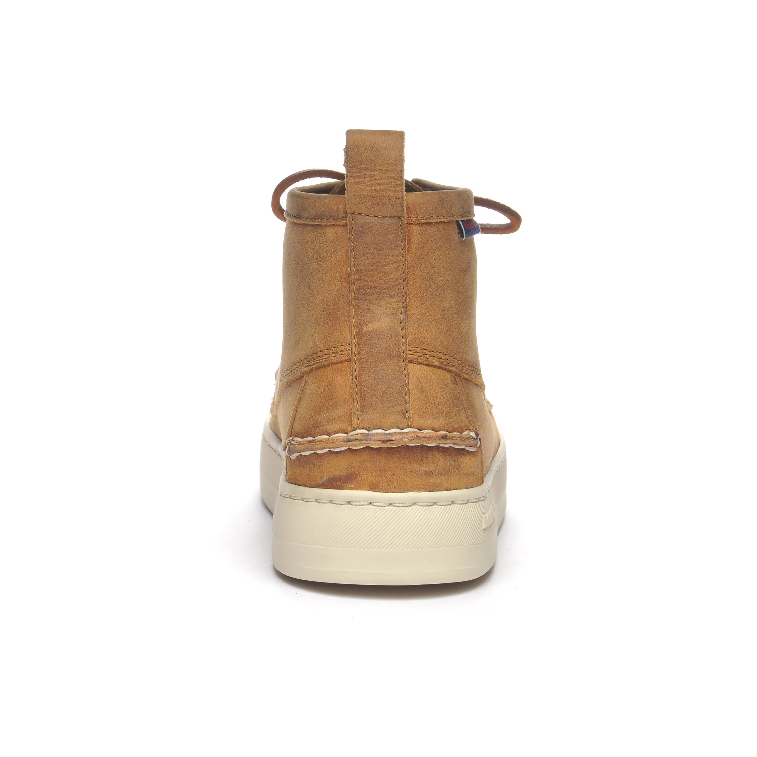 Brig CH - Brown Tan