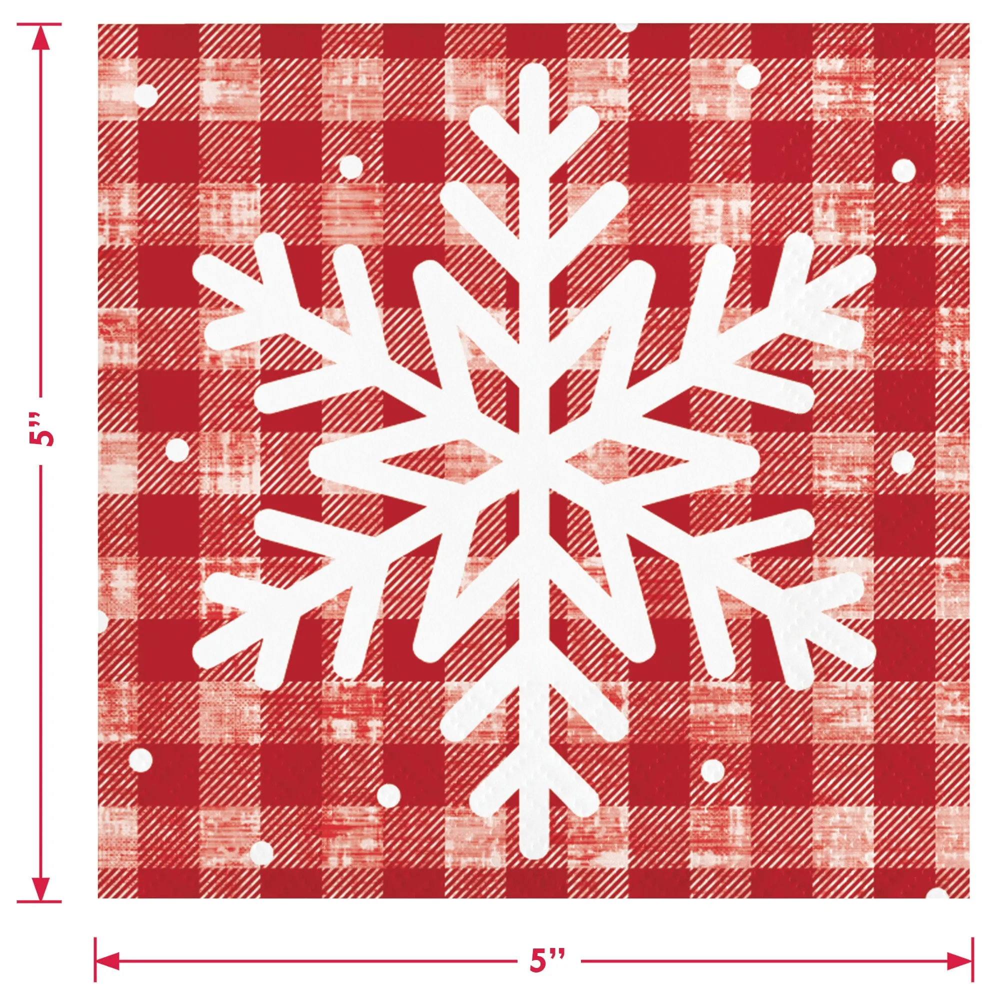 Christmas Holiday Party Supplies - Snowflake Paper Plates, Napkins, and Forks (Serves 16)