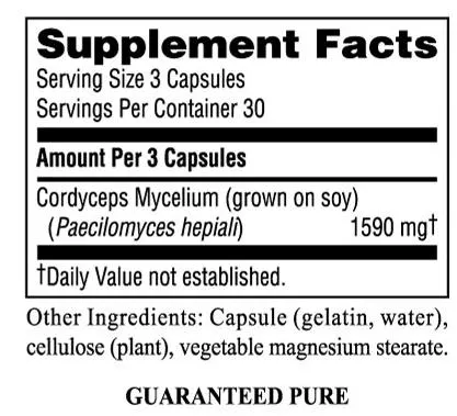 Cordyceps
