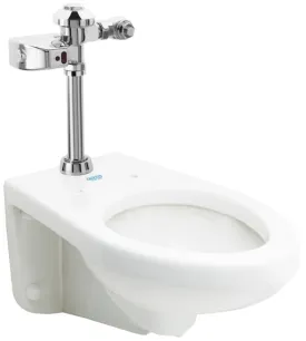 HYBRIDFLUSH® Automatic ADA Flush Valve System #HSM-1012WT